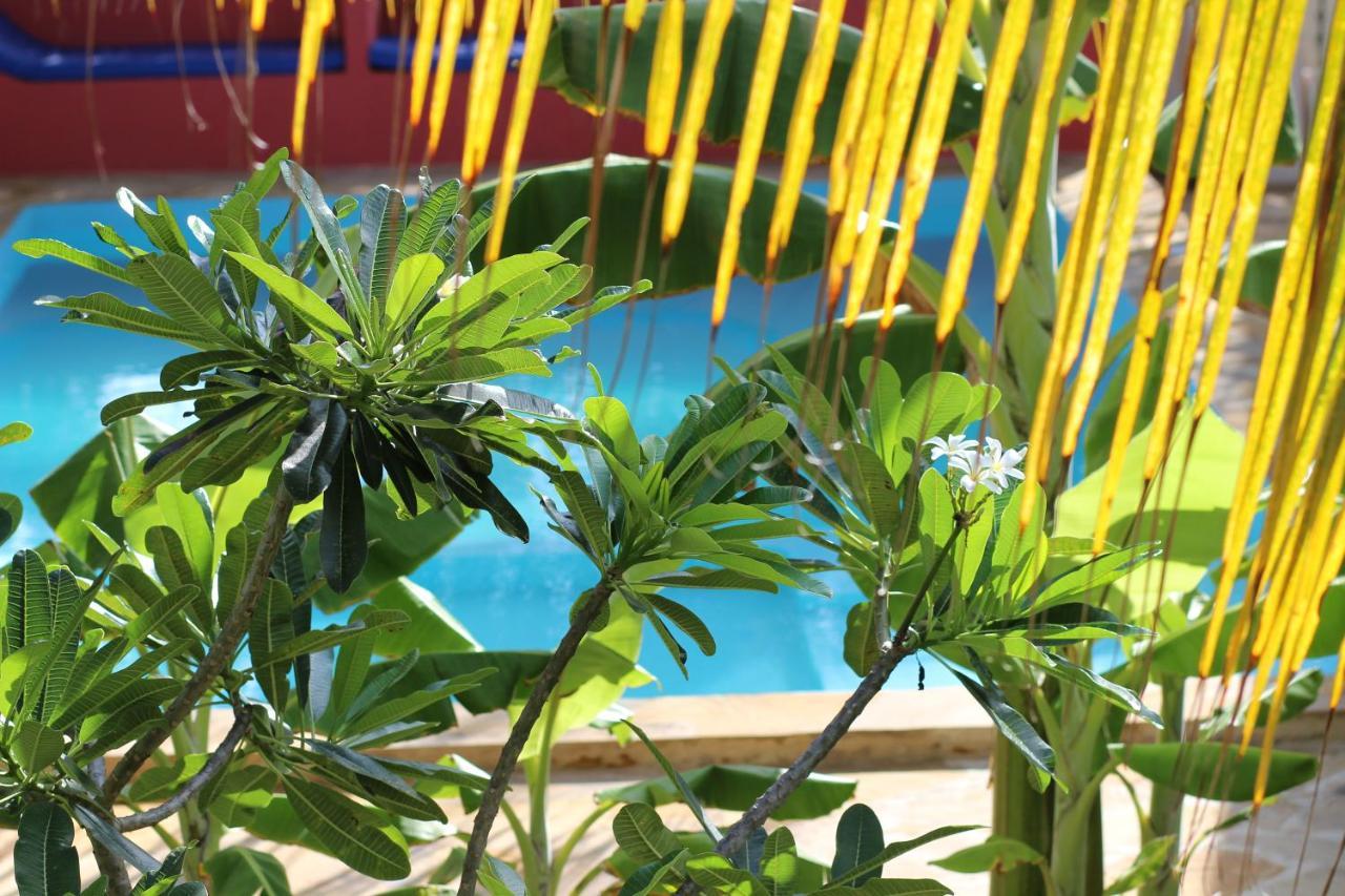 Baridi Villa Kiwengwa  Dış mekan fotoğraf